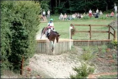 Quelle est cette discipline ?