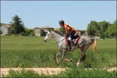 Quelle est cette discipline ?