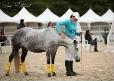 Quelle est cette discipline ?