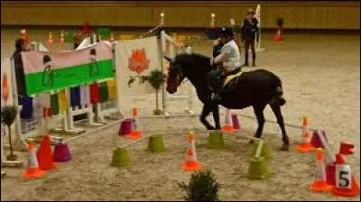 Quelle est cette discipline ?