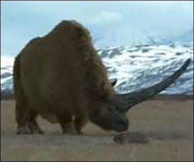 Quel est ce mammifère disparu ?