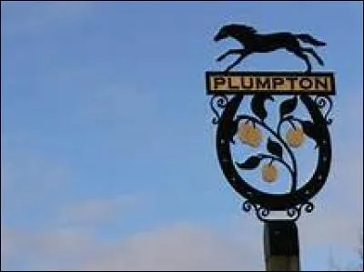 Dans quel pays se situe la belle ville de Plumpton ?