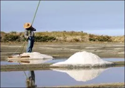 Avez-vous déjà goûté le s___ de Guérande ?