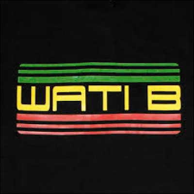 Le lab___ de 	 Maître Gims est "Wati B".