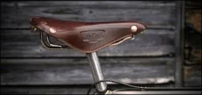 Sur mon vélo, il y a une s___.