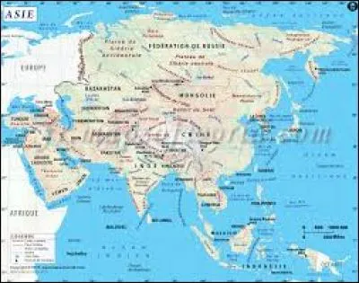 Quelle est la passion d'Elena ?