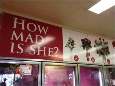 Voilà une publicité chez un fleuriste (qui dit "A quel point est-elle furieuse ?" avant de proposer des bouquets de différente taille) qui peut être humoristique, certes, mais qui pense aussi que les femmes sont extrêmement... ?