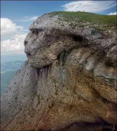 Il semble que cette photo ne soit pas truquée. Il arrive que la nature crée des formes ressemblantes, comme des sculptures, lorsqu'on les photographie sous un certain angle. Ici, on semble rencontrer... ?