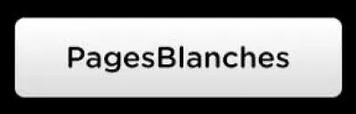 Que recense l'annuaire téléphonique appelé "Pages Blanches" ?