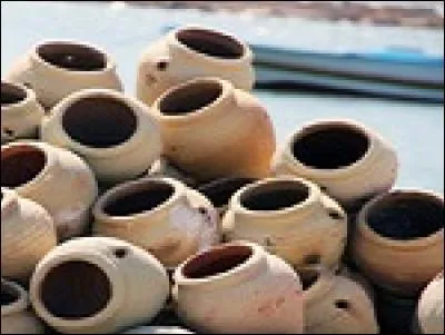 Ce sont des pièges à poulpes.