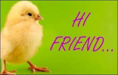 Tous les mots se terminant par le son [i] s'orthographient avec la finale en "s".