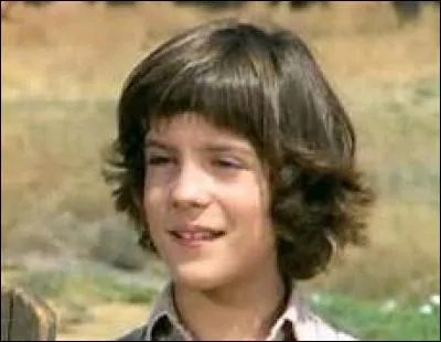 Quelle maladie a eu raison d'Albert Ingalls ?