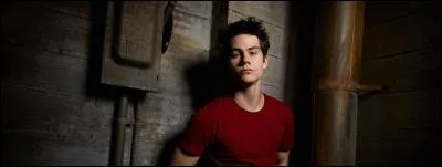Quel acteur est Stiles ?