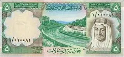 Quelle est la monnaie de l'Arabie saoudite ?