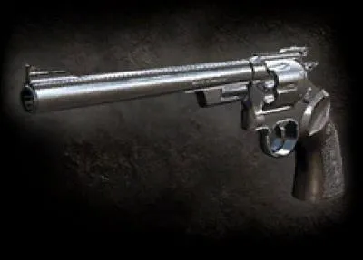 Quelle est la contenance du Magnum après l'avoir acheté ?