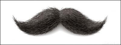 Comment s'appelle le plombier moustachu qui a fait son apparition pour la première fois en 1981 ?