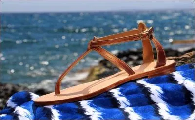 Les "tropéziennes", c'est (ce sont) :