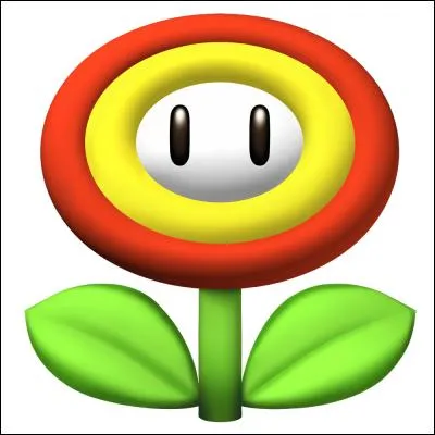 Quel est le nom de ce power up du Royaume Champignon ?
