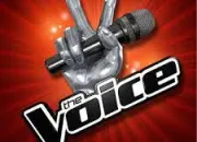 Quiz The Voice !