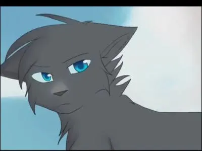 Combien a-t-elle eu de chatons ?