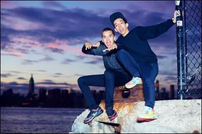 Bigflo et Oli sont originaires de quel pays ?