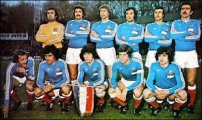 Quel fut le parcours des Bleus ?