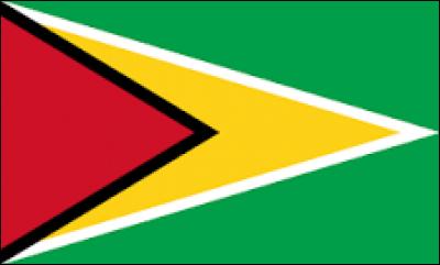 En quelle année le drapeau du Guyana a-t-il été adopté ?