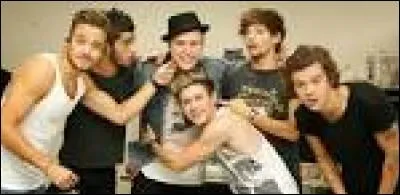 Quel One Direction affecte-t-il le plus ?