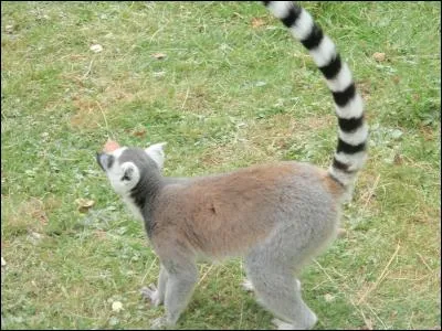 Vous me connaissez sûrement !