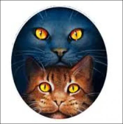 Pourquoi la Tribu de l'eau vive vient-elle demander de l'aide ?