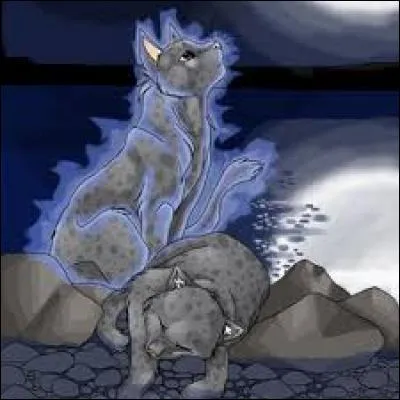 Par qui Pelage de Granit a-t-il été tué ?