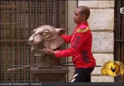 Combien de tigres y a-t-il dans la cage ?