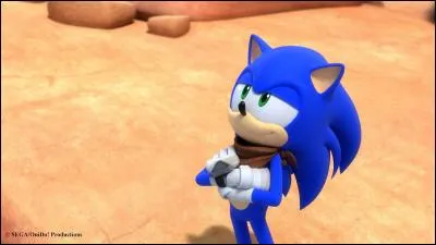 Quel est le plat préféré de Sonic dans les jeux ?