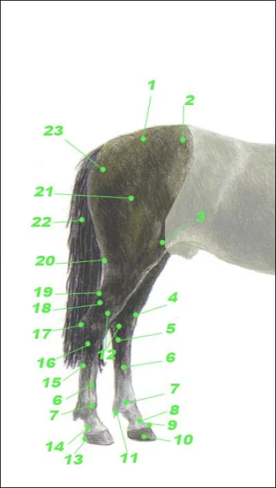 Comment s'appelle le numéro 3