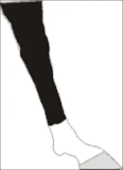 Comment s'appelle ce type de balzane ?