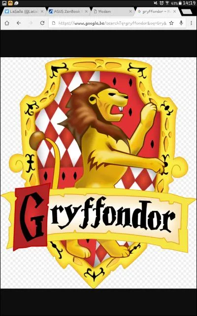Qui est le professeur de Gryffondor ?