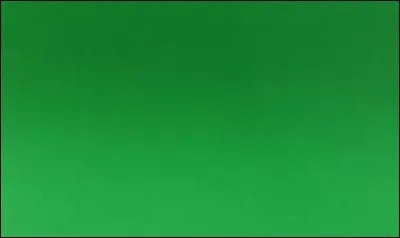 Lequel de ces pays n'a pas la couleur verte sur son drapeau ?