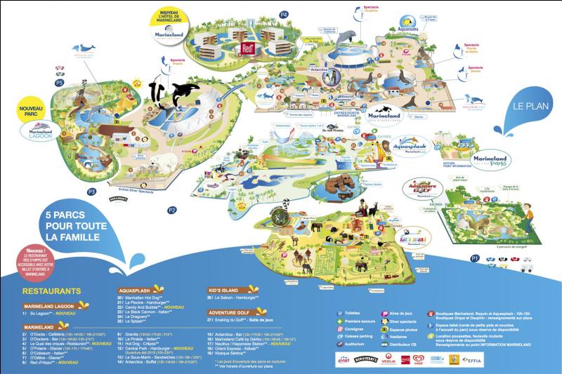 Rencontre avec les dauphins marineland combien de temps