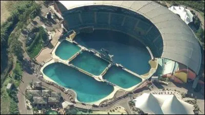 Combien y a-t-il de bassins chez les orques ?