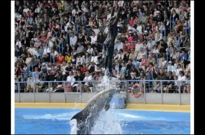 Combien y a-t-il de représentations ?