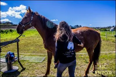 Pr&egrave;s de quel milieu habite-t-elle ?