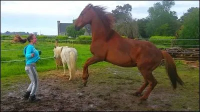 Quelle discipline parmi celles-ci ne pratique-t-elle pas ?