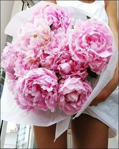 Lors d'un mariage, il arrive que la mariée décide de se coiffer et se maquiller (mal) toute seule... si, si... c'est arrivé à... ?