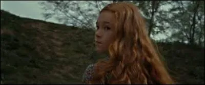 Quelle fillette se trouve dans le premier souvenir de Rogue visionné par Harry ?