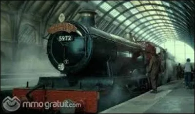 Qui se trouvait sur le même balai que Ron lors de la nuit où 7 Harry Potter sont partis de chez les Dursley ?