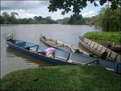 Lésion de la peau !