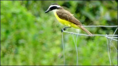 Grand portique, situé à l'avant de la nef des basiliques chrétiennes !