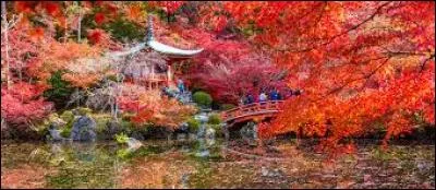 Dans ces fêtes, il faut faire attention à ne pas se __ trop tard, car ce ne sont pas les vacances d'été...