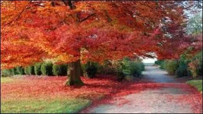 Pour finir ce questionnaire, je vous souhaite une bonne rentrée, une bonne continuation et j'espère que vous avez __ ce quiz.