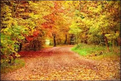 L'automne est également la saison de la rentrée scolaire, qui occupe les esprits de tous ceux qui sont __ à retourner à l'école.